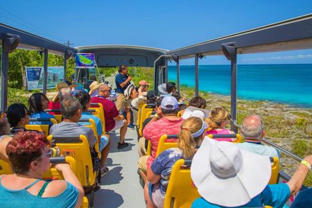 Open Top City Tour with Beach Break in Cozumel