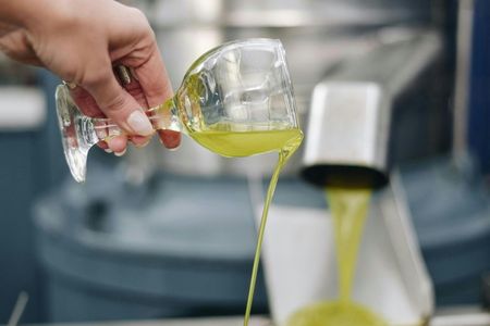 Visit a Family-Run Olive Mill with Food Tasting in Heraklion