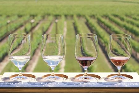 Chocolate, Wine and Niagara-on-the-Lake Tour from Toronto
