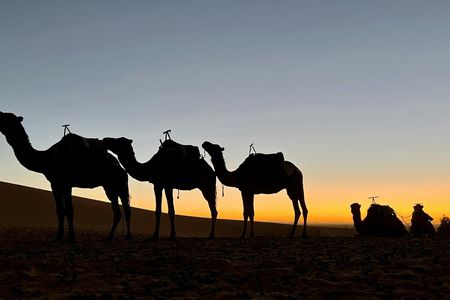 Fes to Marrakech 3-day private desert trip experience
