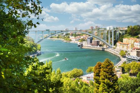 Tour of the two banks of the Douro river in Porto