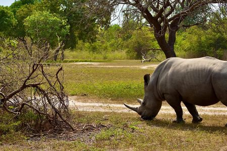Fathala Wildlife Reserve full-day tour
