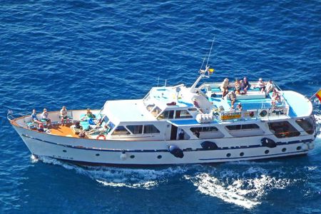 Whale-watching excursion in La Gomera with vintage boat tour