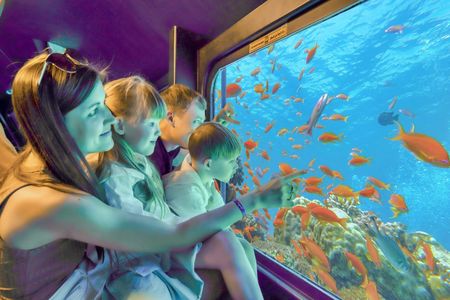 Sea scope submarine in Hurghada city and resorts