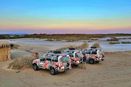 Half-day Nabq National Park safari with lunch in a bedouin tent