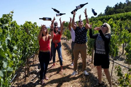 Small group tour in Douro Valley from Porto