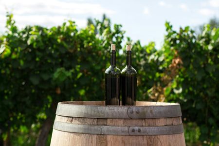 Full-Day Pompeii Ruins and Vesuvius Winery Guided Tour from Sorrento