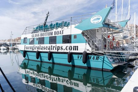 Dolphin watching catamaran cruise along Costa del Sol