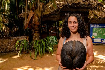 Vallée de Mai guided walking tour