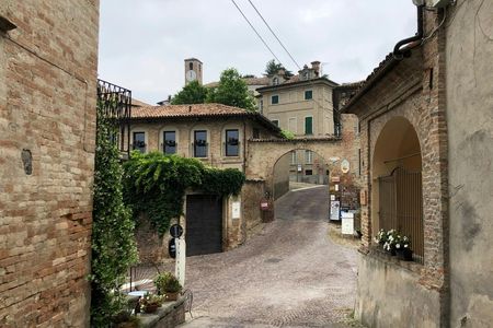 Neive Walking Tour with Winetasting