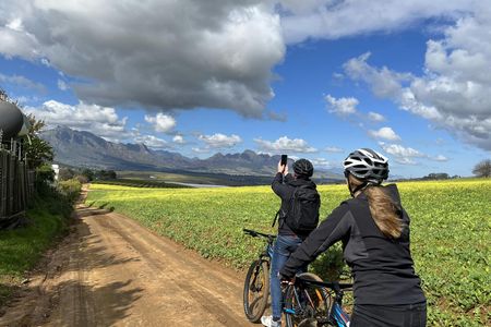 Stellenbosch Winelands 5 hour Private E-Bike Tour