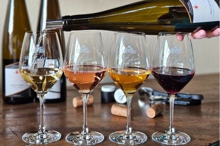 Domaine Fahrer et Fils guided tour with wine tasting