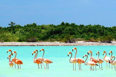 Holbox Island day trip with boat tour and lunch