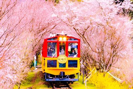 Kyoto Sanzen-in, Arashiyama and Bamboo Grove Full Day Tour