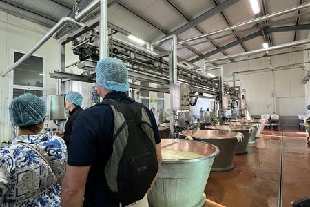 Ferrari, Parmesan and Balsamic Food Tasting Tour in Bologna