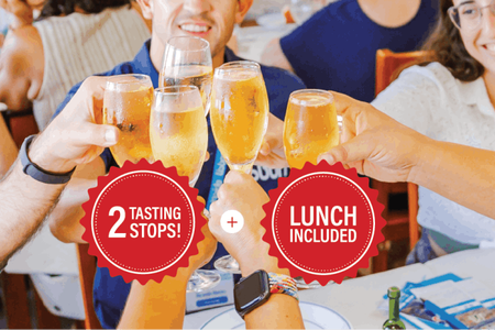 Lisbon walking guided tour with food tasting and ferry tickets