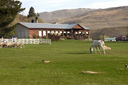 Estancia 25 de Mayo Tour with Dinner and Transfer