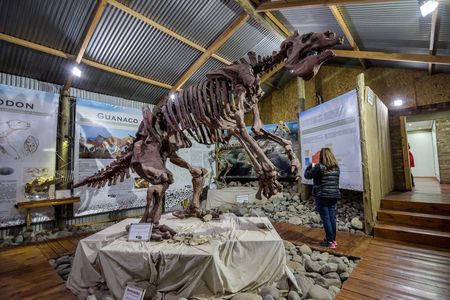 El Calafate Panoramic Tour with Punta Walichu