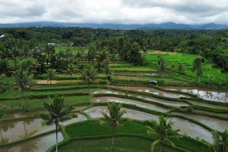 Tetebatu Rice Terrace and Benang Stokel Waterfall Guided Tour