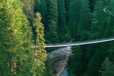 Capilano Suspension Bridge Park tickets