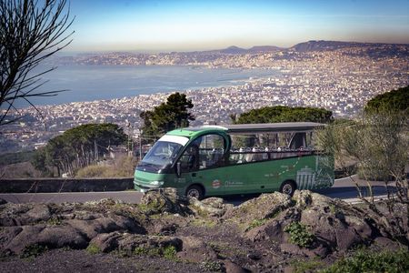 Full-Day Vesuvius and Pompeii Guided Tour with Lunch from Rome