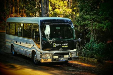 Bruny Island safaris, local food tasting and lighthouse tour