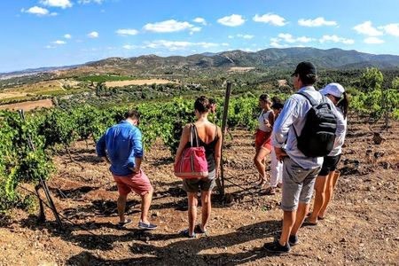Small Group Tour with Brunch and Wine Tasting from Cagliari