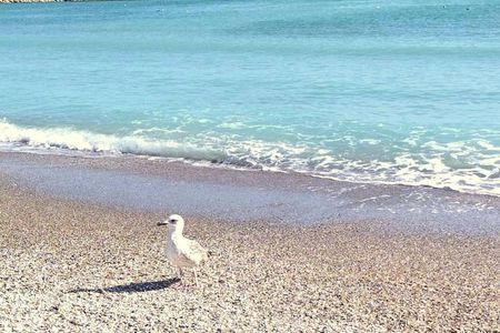Black Sea private tour from Bucharest