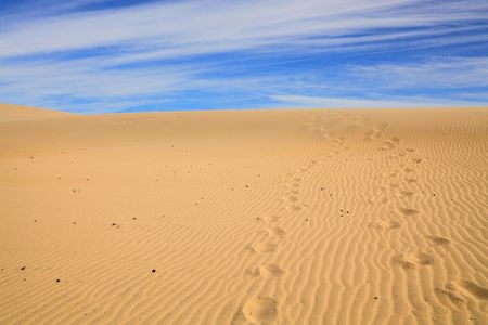 Day Trip to Sahara Sand Dunes and Paradise Valley from Agadir