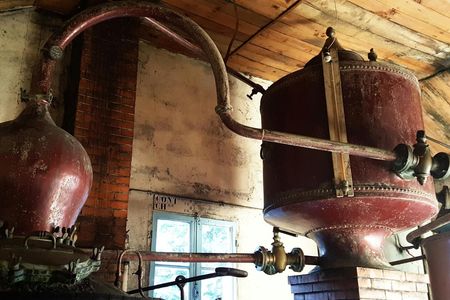 Vineyard and craft distilleries private day tour from Cognac