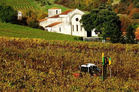 Cognac vineyards and distilleries half-day private tour from Charente