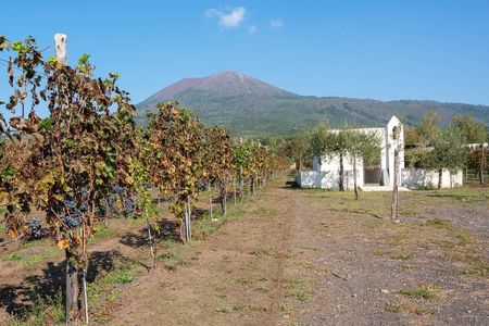 Mount Vesuvius Crater Tour with Lunch at a Vineyard from Sorrento