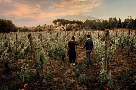 Sunset Tour and Tasting with Food Pairings in Sicily