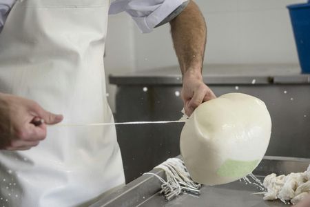 Cheese Experience in Menorca with Workshop and Tasting