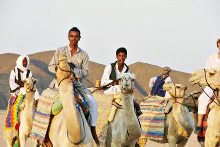 Quad experience with camel ride in the desert of Marsa Alam