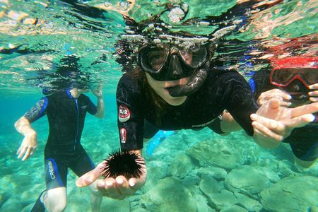 Snorkeling experience in Crete