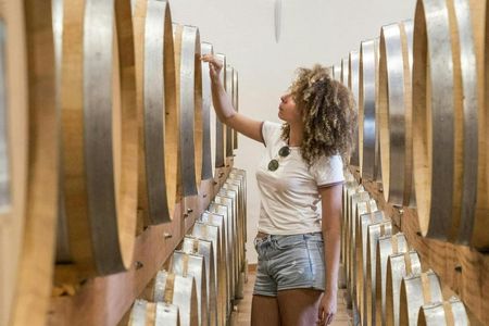 Afternoon Wine Tour of Chateauneuf du Pape from Avignon