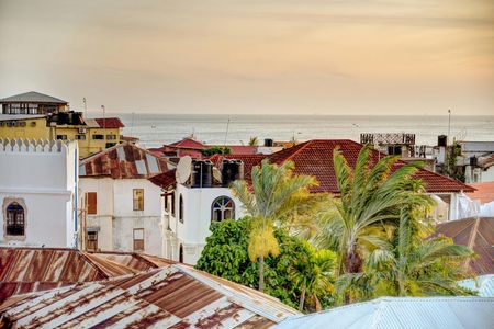 Private Tour of Stone Town and Freddy Mercury Museum from The Mora Zanzibar