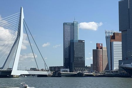 Famous Holland tour to The Hague, Delft, Rotterdam and Kinderdijk