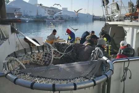 Fishermen's Guild Guided Tour in Barcelona