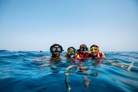 Tiran Island snorkelling cruise with BBQ from Sharm El Sheikh