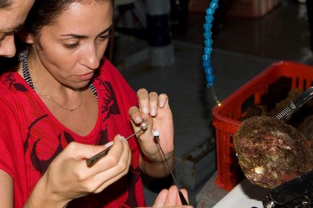 Seawater pearl farm guided tour in Lombok