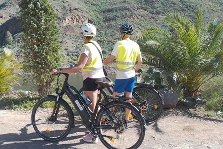 E-Bike Panoramic Mountain Tour with Optional Tapas Tasting