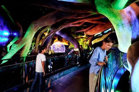 Expo City Attraction Pass