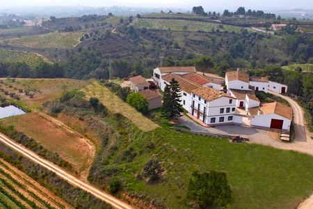 Guided tour to a winery with wine tasting from Barcelona
