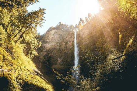 Columbia Gorge Waterfalls Botanical Discovery Hike