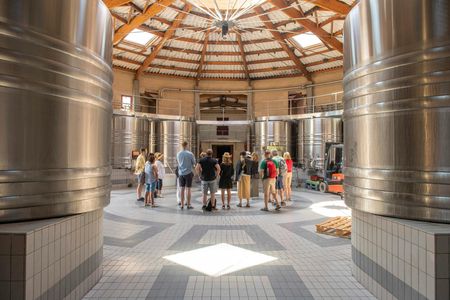 Chateaux and Terroirs Guided Tour on the Bordeaux Wine Roads