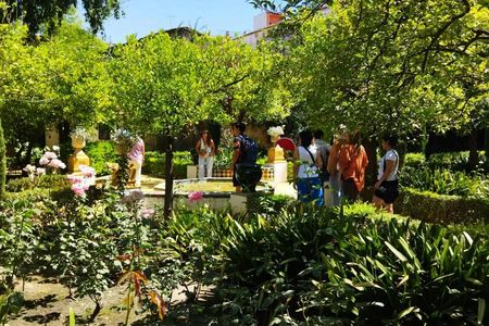 Palacio de Dueñas Guided Tour