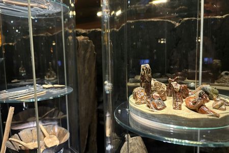 The Kraków Underground Market Museum guided tour in English