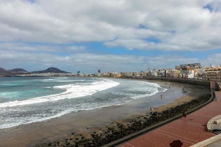 Northern Gran Canaria Tour with Botanical Garden Visit